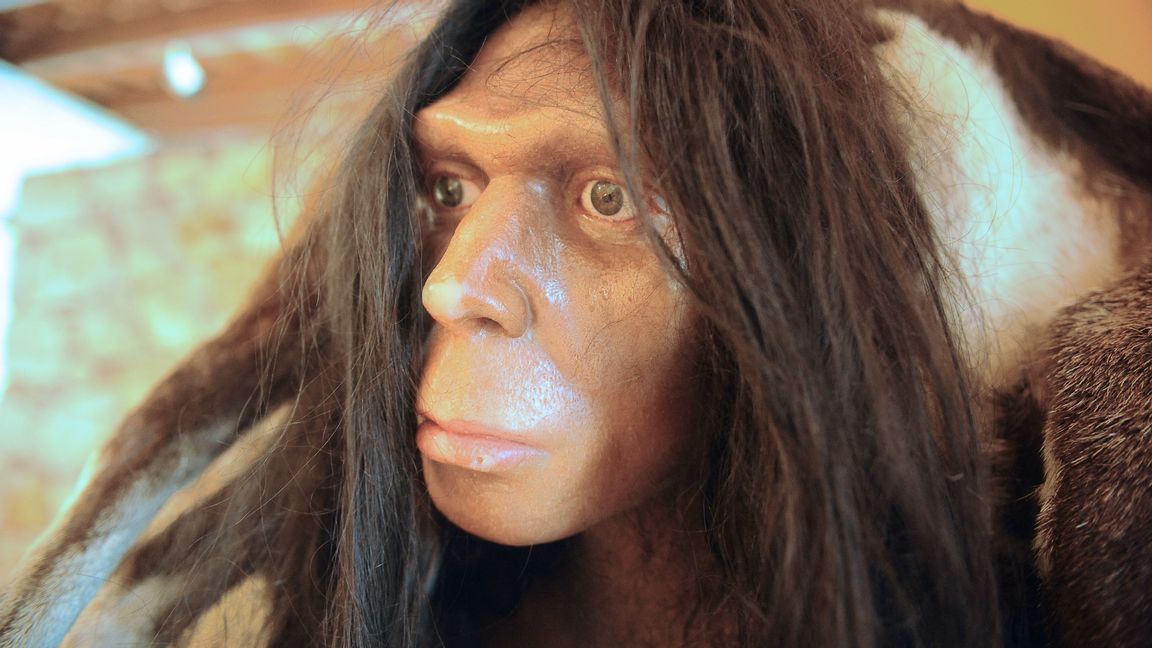 För ett fåtal människor kan det genetiska arvet från neandertalarna ge en svårare variant av covid visar en forskningsrapport. Erik Cabanis/TT