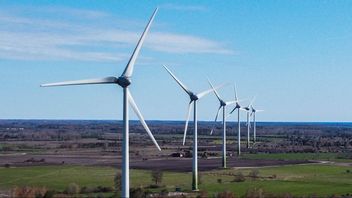Ny forskning från Högskolan i Gävle visar att vindkraftverk kan avge infraljud som människor inte kan höra men som potentiellt orsakar sömnproblem och stress. Foto: Jonas Ekströmer / TT.