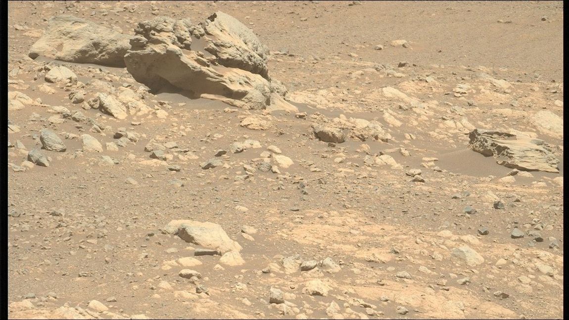 Rovern Perseverance har upptäckt stenen Phippsaksla. Foto: Nasa