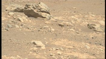 Rovern Perseverance har upptäckt stenen Phippsaksla. Foto: Nasa