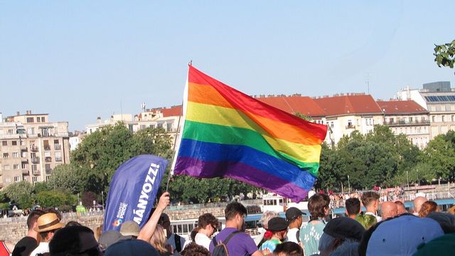 Genrebild. En Pride-flagga i en folkmassa i Budapest. Foto: Banned pride, CC BY 4.0, via Wikimedia Commons