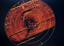 Sonarbild på Estonia från 2021. Foto: Stefan Jerrevång/TT