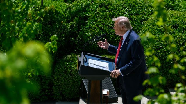 Donald Trump. Foto: Public Domain/Wikimedia Commons