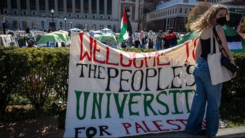 På elituniversitet Columbia i New York byggdes en tältstad upp i april av propalestinska demonstranter. Foto: Stefan Jeremiah/AP/TT