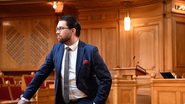 Jimmie Åkesson (SD). Foto: Henrik Montgomery/TT.