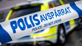 Foto: Johan Nilsson/TT