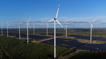 Tysk vindkraftspark. Arkivbild. Foto: AP