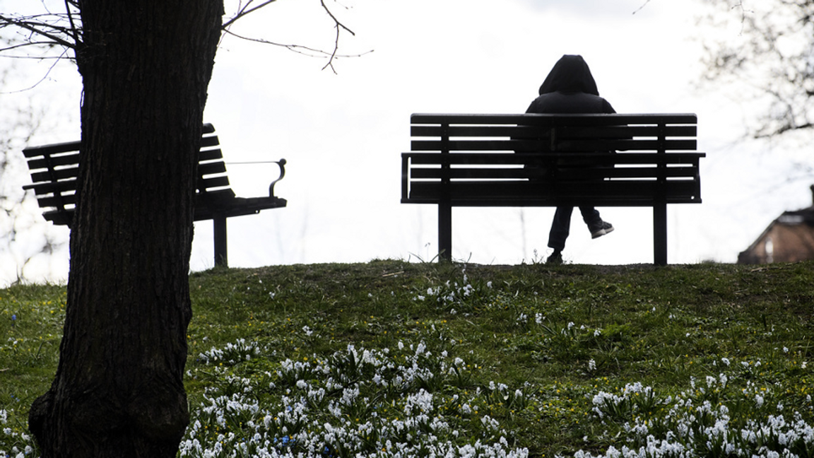 27 procent av boende i utsatta områden uppger att de har diskriminerats på arbetsmarknaden. Foto: Jessica Gow//TT 