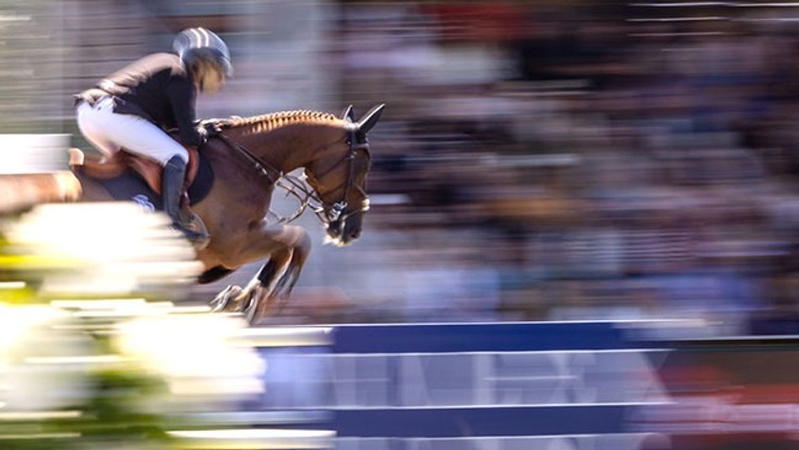Falsterbo Horse Show. Bild:  Andreas Hillergren / TT 