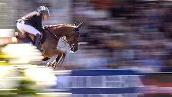 Falsterbo Horse Show. Bild:  Andreas Hillergren / TT 