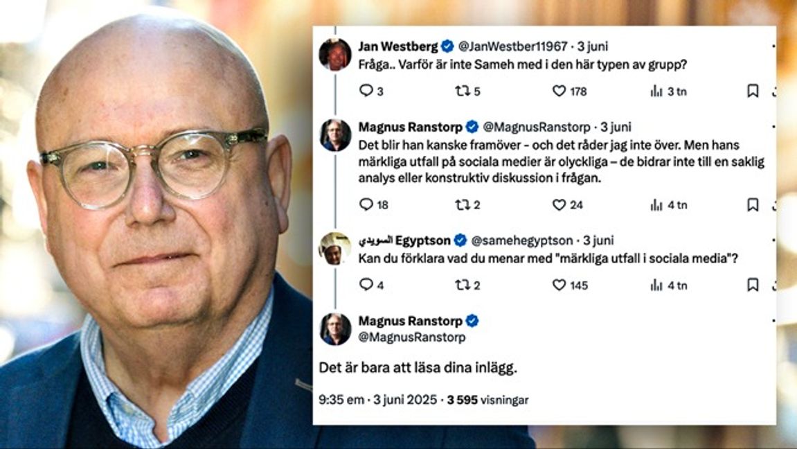 Magnus Ranstorp anser att Sameh Egyptson gjort ”märkliga utfall”. Foto: Claudio Bresciani/TT