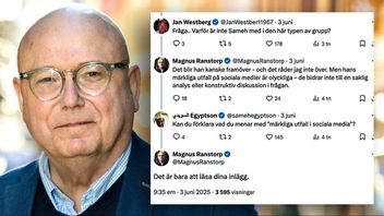 Magnus Ranstorp anser att Sameh Egyptson gjort ”märkliga utfall”. Foto: Claudio Bresciani/TT