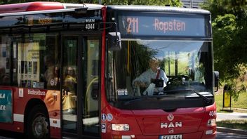 Genrebild. Foto: Mickan Mörk/TT. 