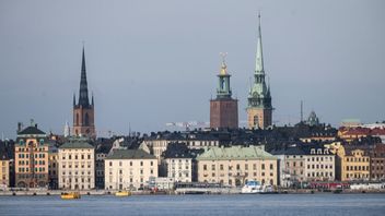 Innovationsteam ska hitta nya sätt att odla mat och minska nedskräpning i Stockholm. Foto: Fredrik Sandberg/TT.