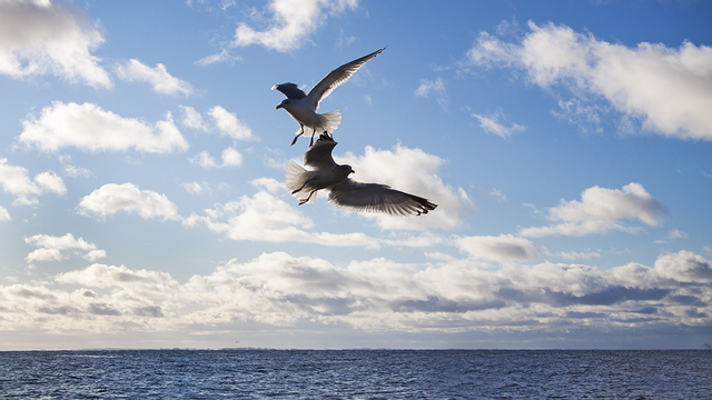 Foto: Frederic Täckström/Stilbildarna i Mölle.