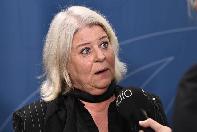 Socialtjänstminister Camilla Waltersson Grönvall (M) har mötts med e-handelsföretag, barnrättsorganisationer och myndigheter efter den uppmärksammade rapporteringen om försäljningen av sexdockor som föreställer barn. Foto: Lars Schröder/TT