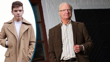 Kungen har utsatts för kritik efter intervjuer. Foto: Jonas Ekströmer/TT