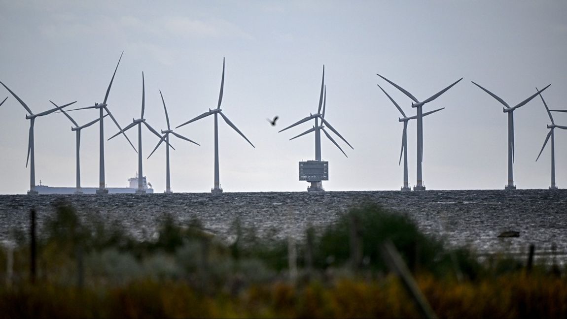 Lillgrund vindkraftpark söder om Öresundsbron. Nu finns planer på större vindkraftverk och forskare ska undersöka hur mycket undervattensbuller de kan medföra. Arkivbild. Foto: JOHAN NILSSON/TT