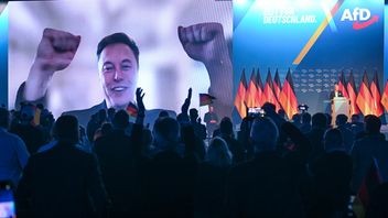 Elon Musk framträdde på länk under AfD:s valkampanj i januari. Arkivbild. Foto: Sebastian Willnow/AP/TT