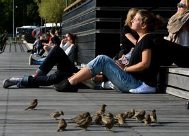 Ett högtryck ger goda chanser till sol och värme från mitten av veckan. Arkivbild. Foto: Johan Nilsson / TT