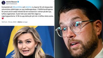 Ebba Buschs utspel fick Jimmie Åkesson att ta till X och kommentera. Foto: Pontus Lundahl/Claudio Bresciani/TT