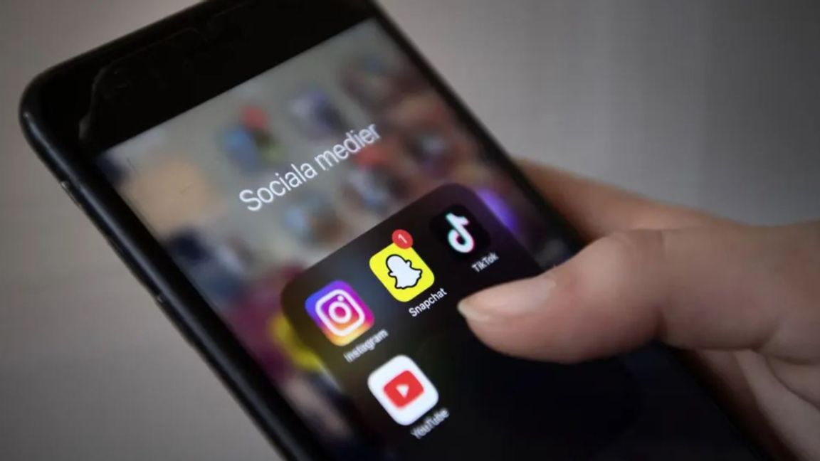 Influencers marknadsför opålitliga medicinska tester på sociala medier trots att den vetenskapliga grunden ofta är svag. Foto: TT