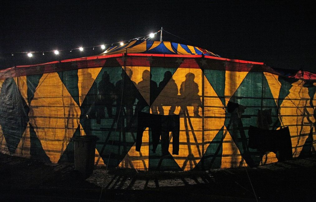 Arkivbild på en annan cirkus. Foto: Luis Hidalgo/AP/TT