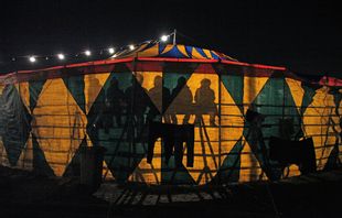 Arkivbild på en annan cirkus. Foto: Luis Hidalgo/AP/TT