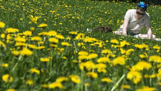 Sommaridyllen störd av antisemitism: ””Judar är äckliga. Hitler visste vad han gjorde!” Foto: JOHAN NILSSON / TT