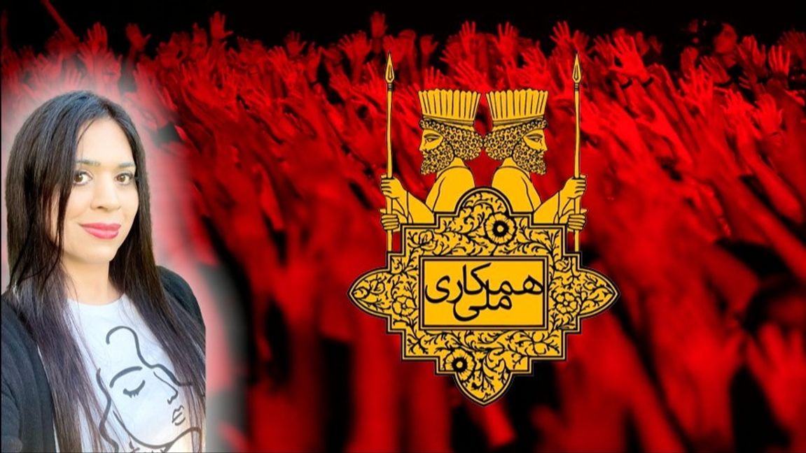 Den iranska oppositionen behöver enighet, inte tjat om vad som hände på 50-talet. Foto: Vahid Salemi / TT & Nationellt samarbete / Reza Pahlavi