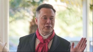 Foto: Mark Schiefelbein/AP/TT