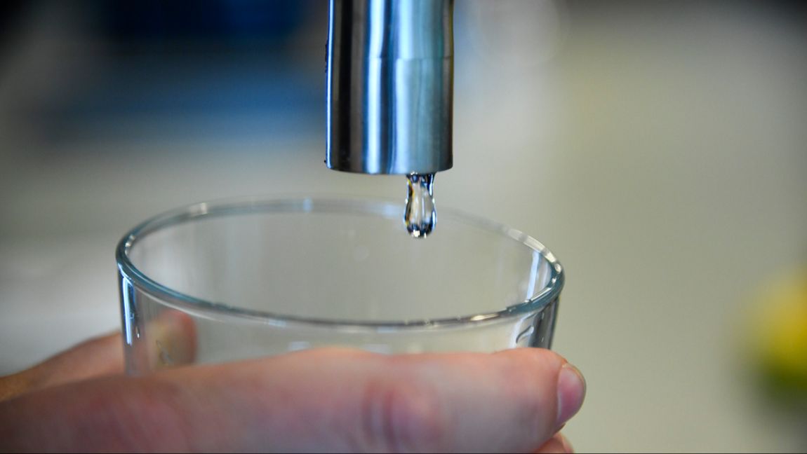 Arkivbild. Lars Schröder/TT