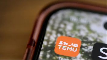 E-handelsföretaget Temu har fått miljardbelopp från svenska hållbarhetsfonder trots kritik mot företagets affärsmodell. Foto:TT