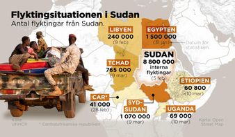 Ett tiotal miljoner människor har drivits från sina hem under det rasande kriget i Sudan. Fler och fler flyr till andra länder och allt fler mot Europa. Anders Humlebo/TT