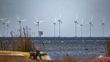 Det är inte vinden som driver vindkraften utan subventioner. Foto: Johan Nilsson / TT