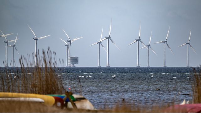 Det är inte vinden som driver vindkraften utan subventioner. Foto: Johan Nilsson / TT