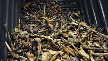 Genrebild. Allt fler svenskar väljer kremering. Metaller från bland annat opererade höft- och knäleder återvinns och ger miljoner till Allmänna arvsfonden. Foto: Gustav Sjöholm/TT