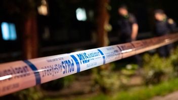 Arkivbild. Foto: Johan Nilsson/TT
