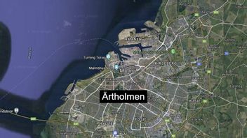 Ärtholmens Koloniområde. Foto: Google Maps