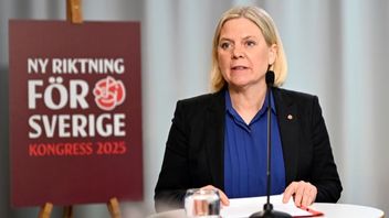 Socialdemokraterna har tappat hela 85 847 medlemmar sedan år 2000. Foto: Pontus Lundahl/TT.