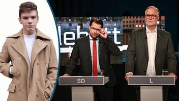 Borde Åkesson och Pehrson lära sig hantera meningsskiljaktigheter internt snarare än för öppen ridå? Foto: Pontus Lundahl/TT