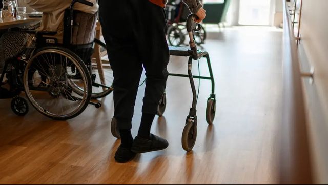 Foto: Oscar Olsson / TT