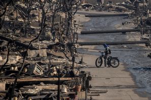 En cyklist tittar på det som kvarstår av en gata i Pacific Palisades. Bild tagen på torsdagen. Foto: Stephen Lam/AP/TT