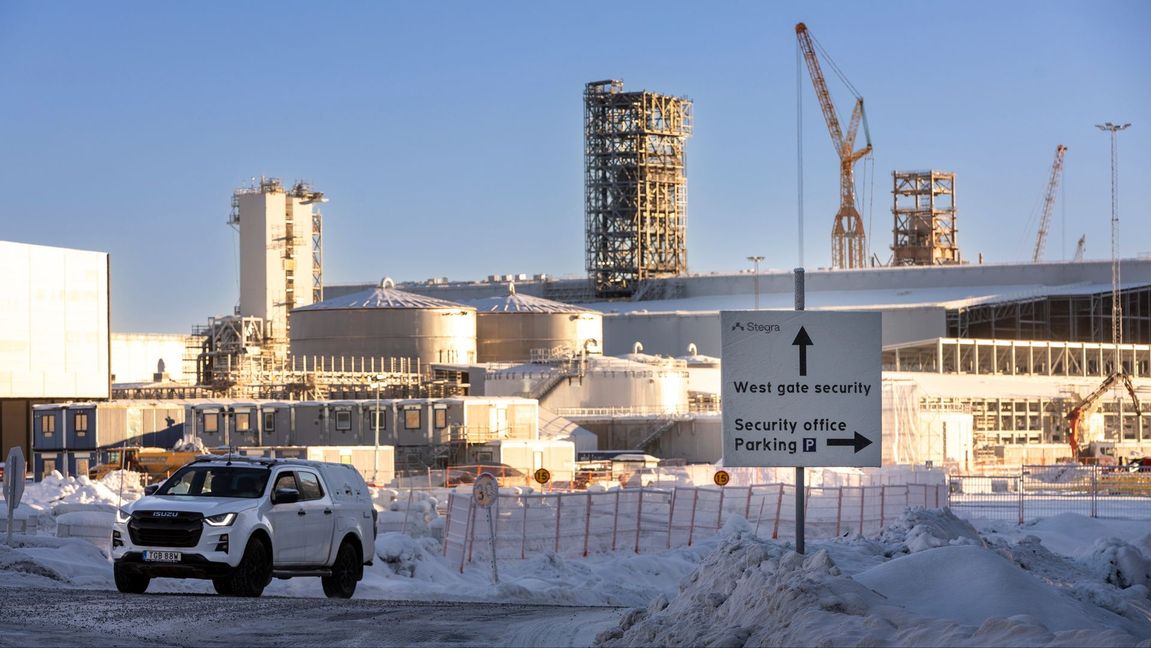 Stegra ligger långt fram i utvecklingen enligt svensk miljöforskare. Foto: Pär Bäckström/TT