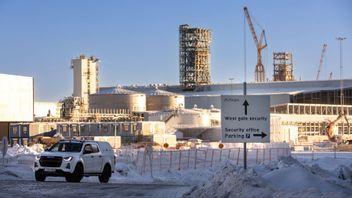 Stegra ligger långt fram i utvecklingen enligt svensk miljöforskare. Foto: Pär Bäckström/TT