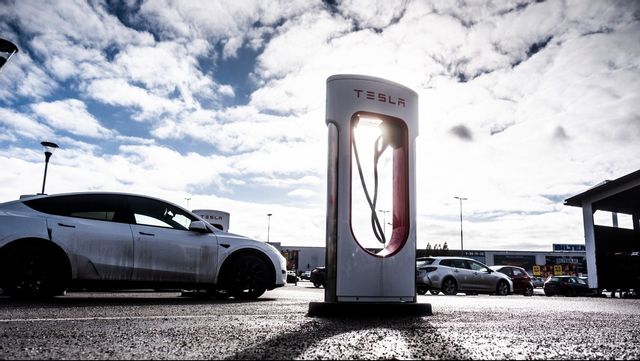 Foto: Magnus Hjalmarsson Neideman/SvD/TT