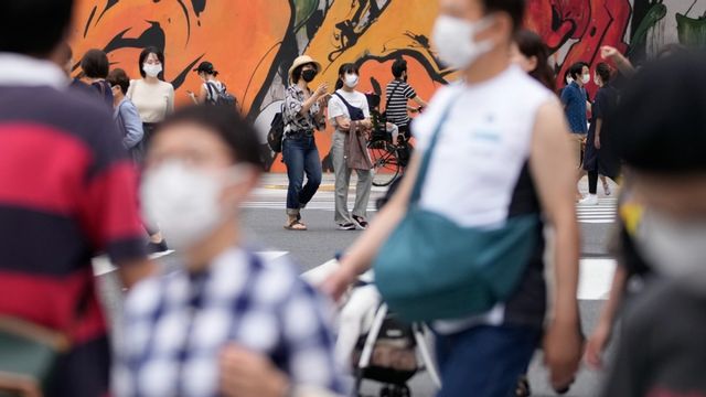 Ett nytt Langayavirus har upptäckts i Kina. Foto: Shuji Kajiyama