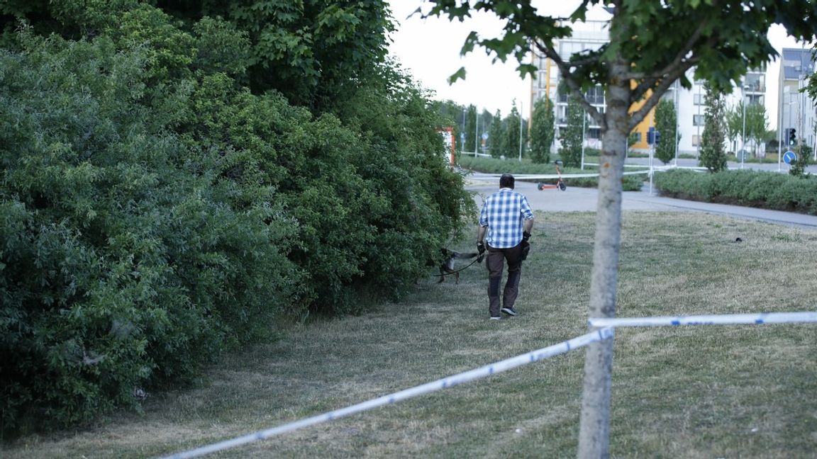 Polisen har genomfört en stor insats i Uppsala. Foto: Oscar Olsson//TT