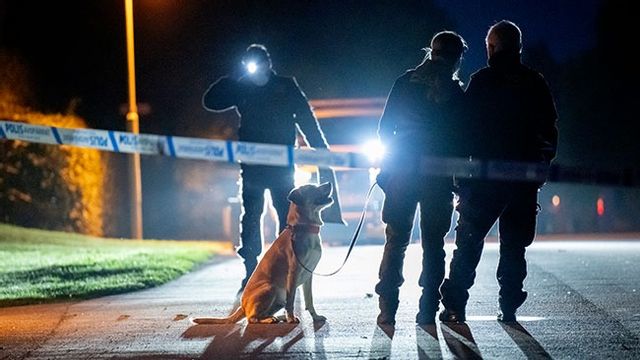 Poliser och sökhund vid brottsplatsen efter mordet i Skurup. Bild: Johan Nilsson / TT
