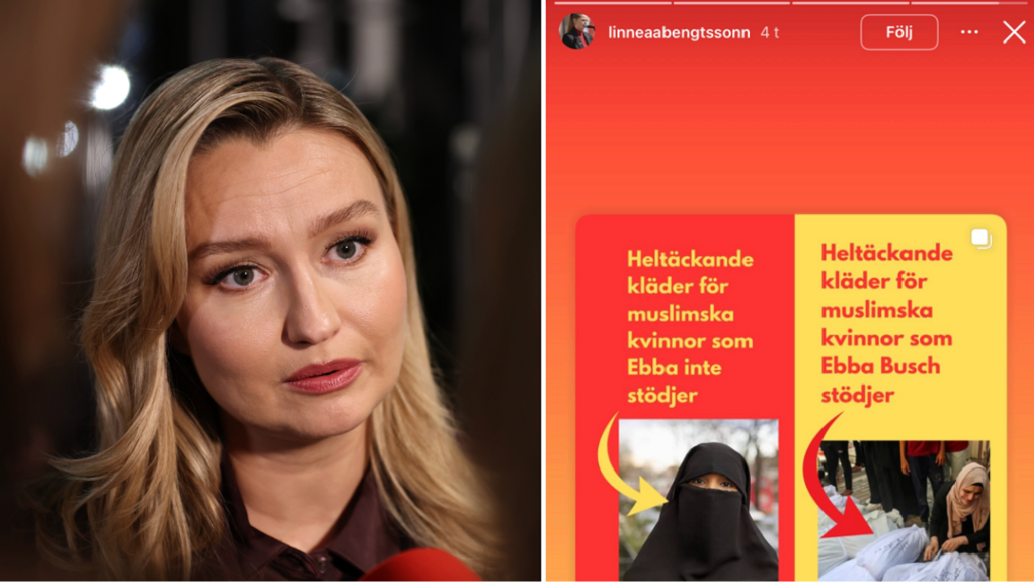 KD-ledaren Ebba Busch och bild på V-politikerns Instagram-inlägg. Foto: Caisa Rasmussen/TT/Skärmdump